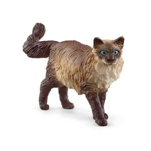 Figurine Chat ragdoll 