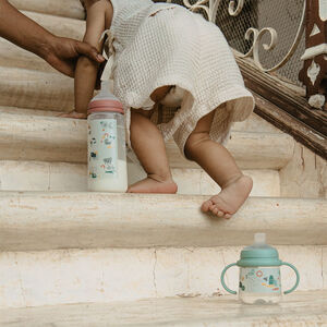 Biberon avec tétine symétrique SX Pro M 270 ml Walk in the park rose 