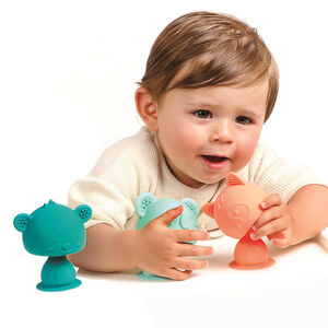 Assortiment Swing Pop (modèle aléatoire) 