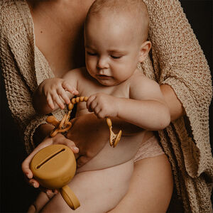 Boîte pour sucettes Colour Essence en silicone Vert 