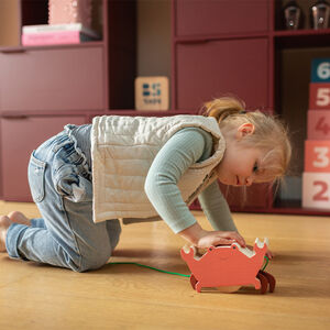 Joyeux crabe rose à traîner  