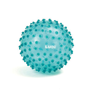 Balle sensorielle à picots bleu 
