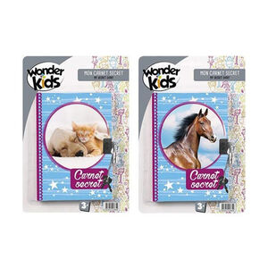 Mon carnet secret à cadenas (modèle aléatoire) 