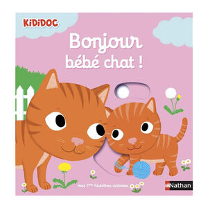 Livre Bonjour bébé chat  