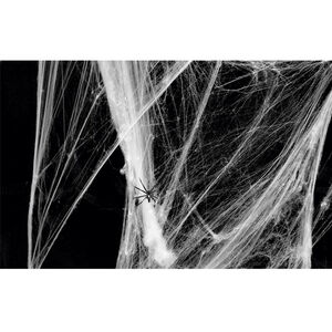 Toile d'Araignée + 1 Araignée - Blanc 