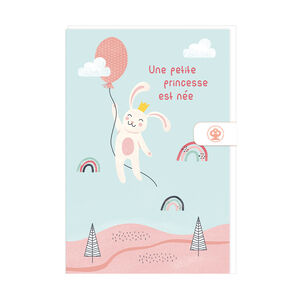 Faire-part de naissance avec enveloppe "Une petite princesse est née" 