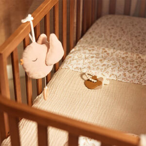 Peluche musical Lovely Birds 