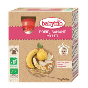 Pack de 4 gourdes poire banane bio 