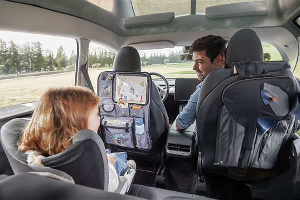 Organiseurs de voiture
